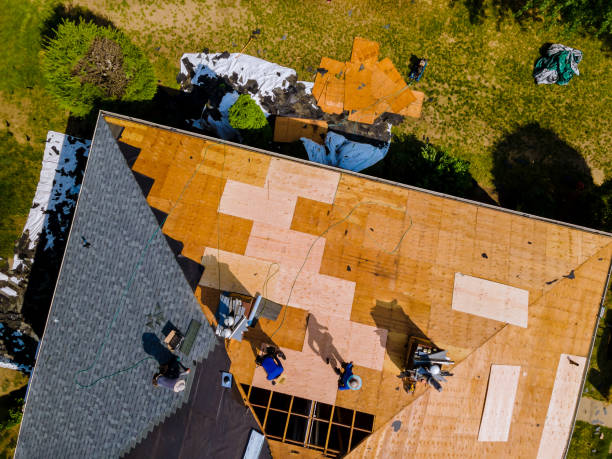Best Metal Roofing Contractor  in St Leo, FL