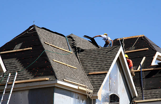 Best Roof Leak Repair  in St Leo, FL