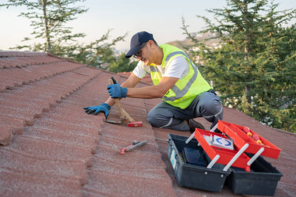 Best New Roof Installation  in St Leo, FL