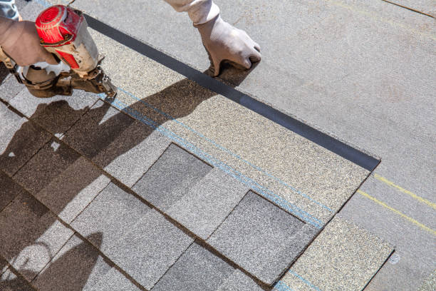 Best Flat Roof Repair Services  in St Leo, FL